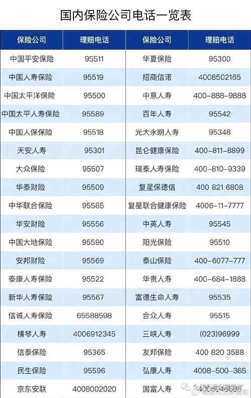 中国人寿保险单查询方式