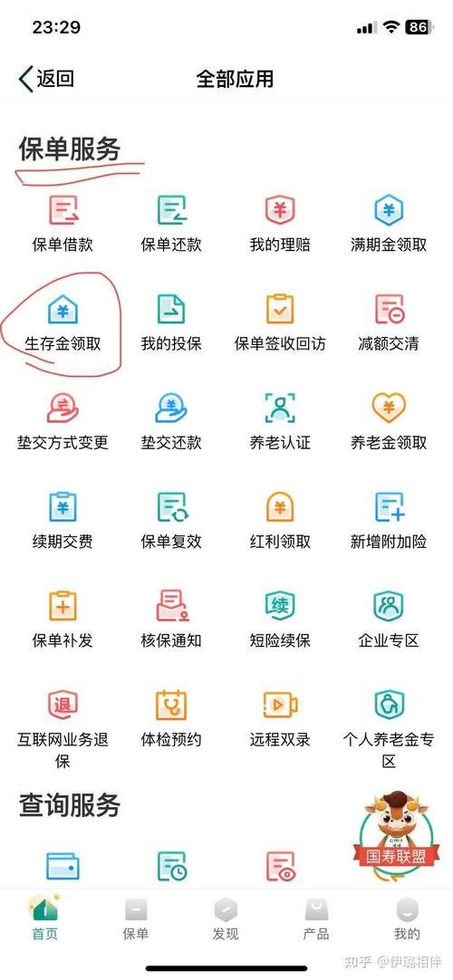 中国人寿保险怎么查询保单?