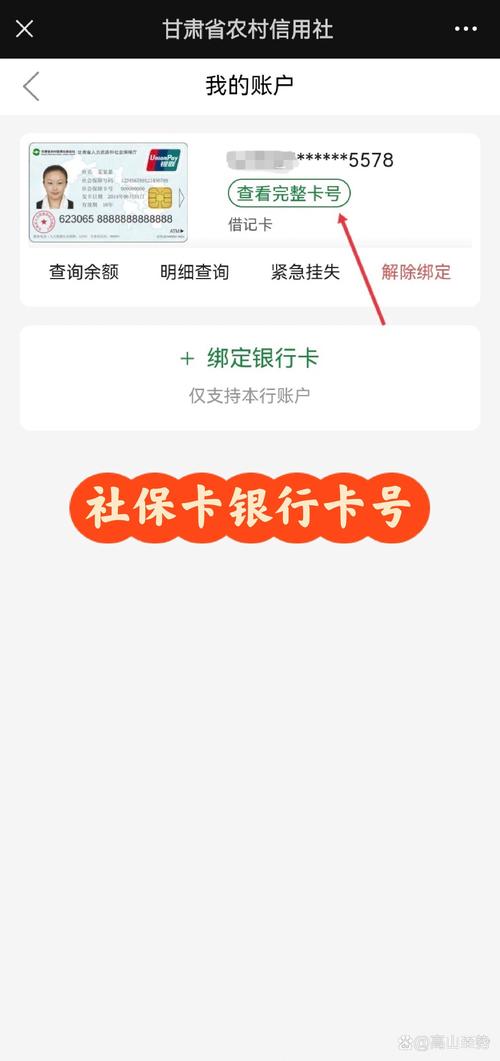 成都市查询社保卡的网址是什么?