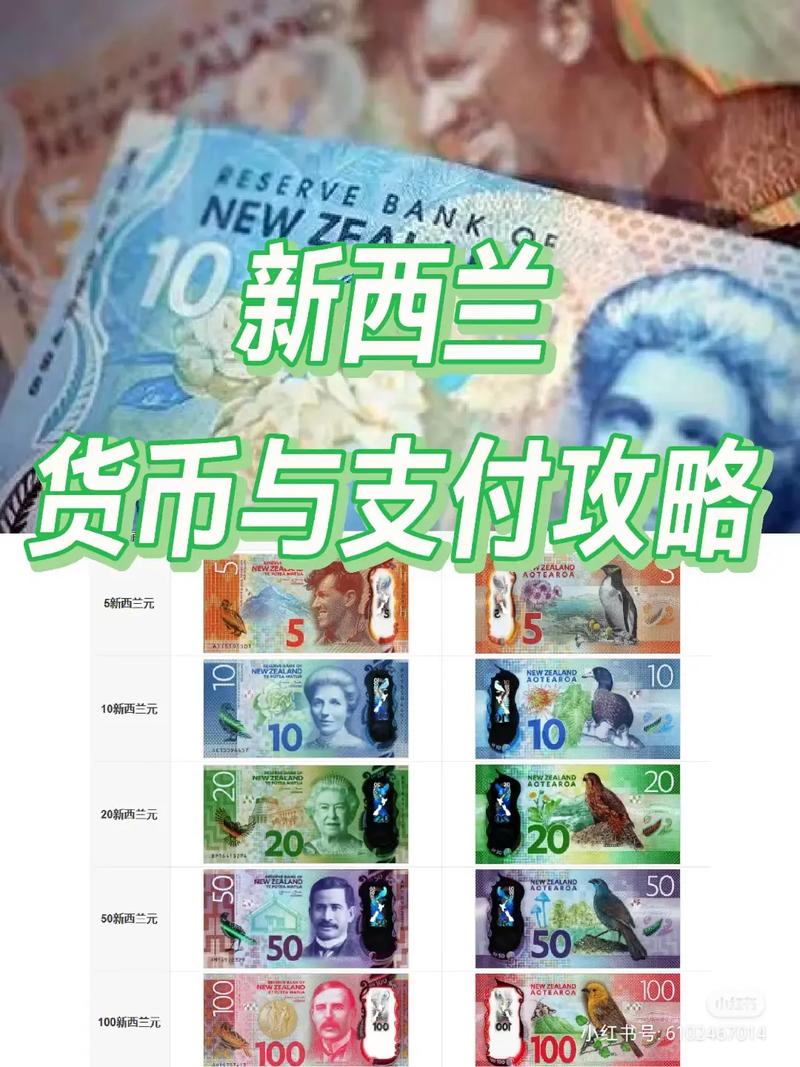 25万新币(新西兰)折合多少人民币?