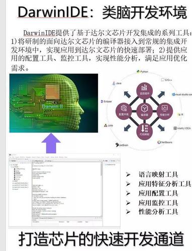 达尔文2号怎么