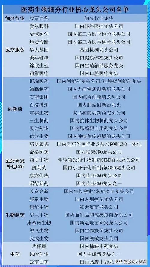 医疗保健行业龙头前十名?