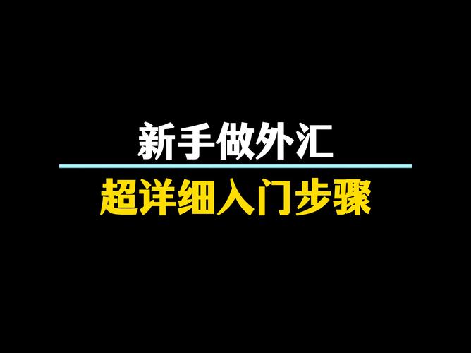 外汇新手入门应该经历哪些过程呢??