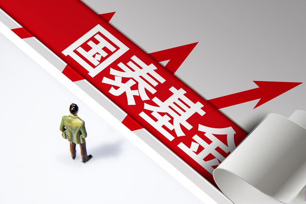 有关国泰金马基金