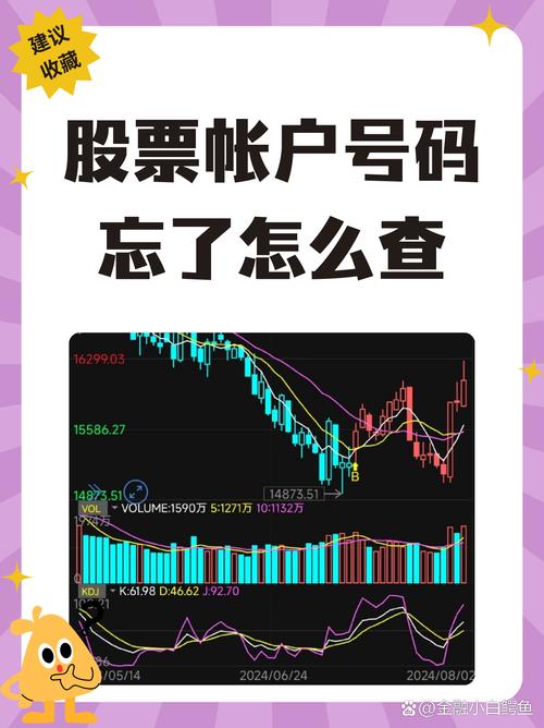 安信证券忘了账号怎么拿回来?
