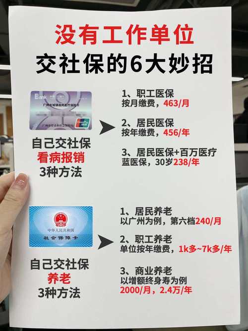 劳动局个人养老保险怎么交