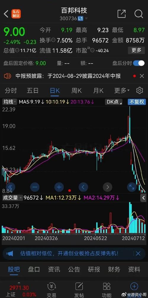 什么是国发股份