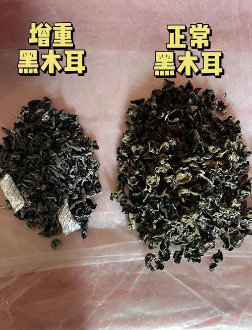 黑木耳股票是多少