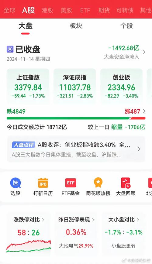 投资大盘蓝筹股的股票基金有哪些