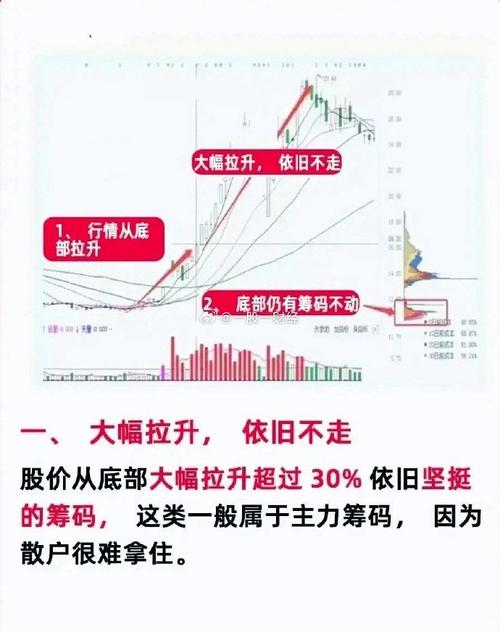 蓝筹股基经最靠前的十只是?