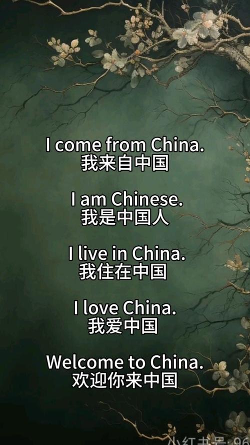 中国人用英语怎么写