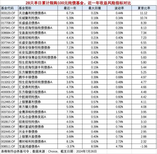 110007是纯债基金吗