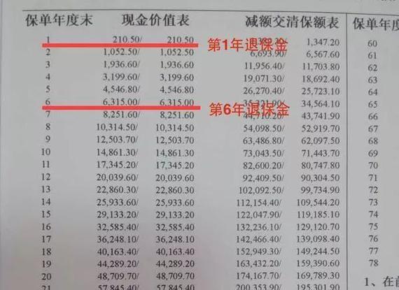 生命人寿吉祥三宝保险不到期退保扣多钱