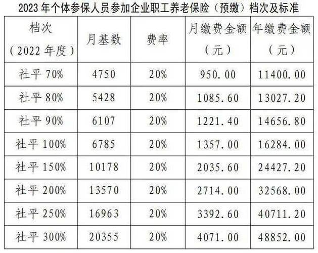 企业养老保险缴费基数是什么意思
