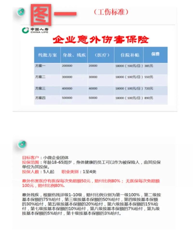 中国人寿保险的官方网站是哪个?