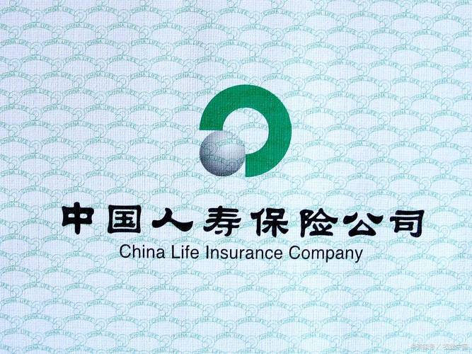 中国人寿保险公司官方网站网址