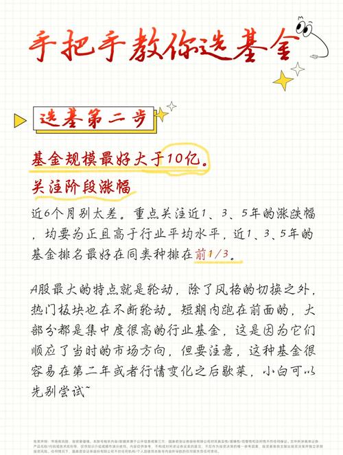 新手应该买什么基金