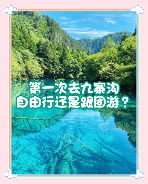 旅游选取自驾游好还是旅游团好