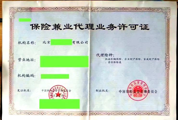 保险有什么牌照