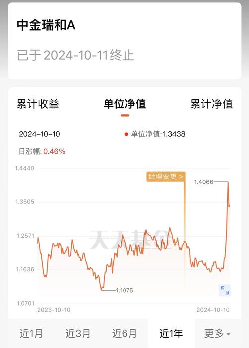 基金当日净值什么意思